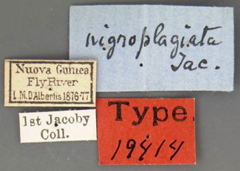 Media type: image; Entomology 19414   Aspect: labels